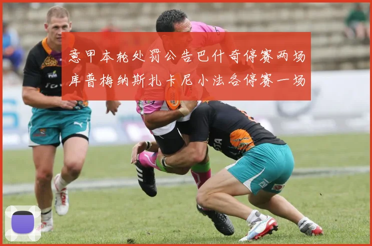 意甲本轮处罚公告巴什奇停赛两场库普梅纳斯扎卡尼小法各停赛一场