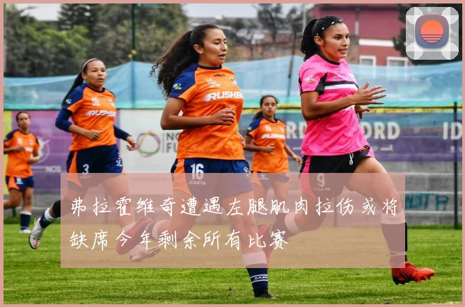 弗拉霍维奇遭遇左腿肌肉拉伤或将缺席今年剩余所有比赛