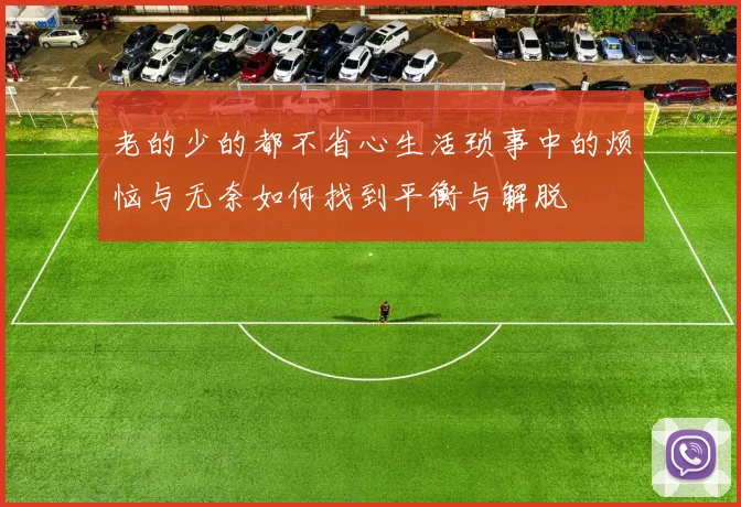老的少的都不省心生活琐事中的烦恼与无奈如何找到平衡与解脱