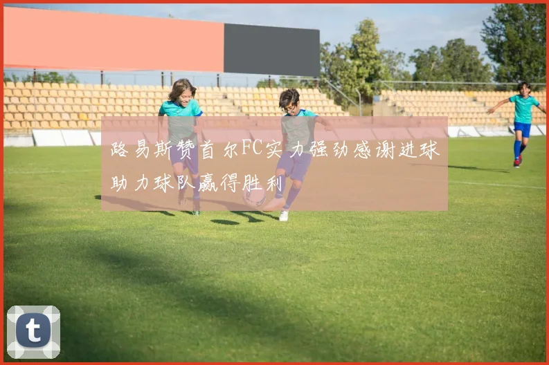 路易斯赞首尔FC实力强劲感谢进球助力球队赢得胜利