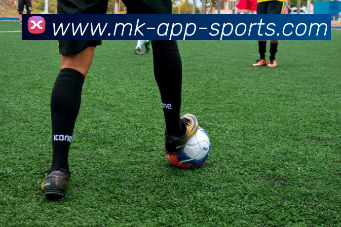 MK体育APP 封面图